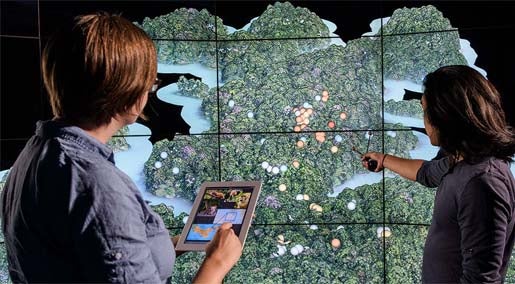 Two people looking at a map on a large screen.